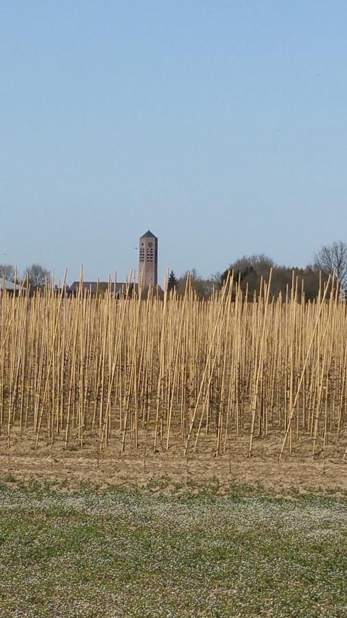 B&B Perron 22 Vierlingsbeek Kültér fotó