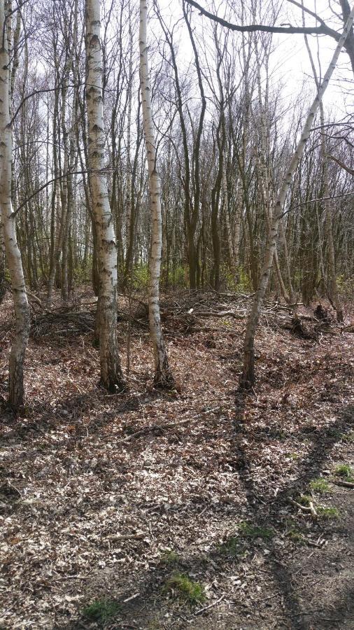 B&B Perron 22 Vierlingsbeek Kültér fotó